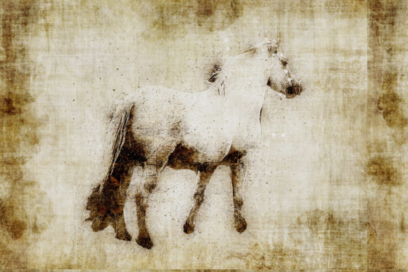 Decorative Animal Printables Pack 01