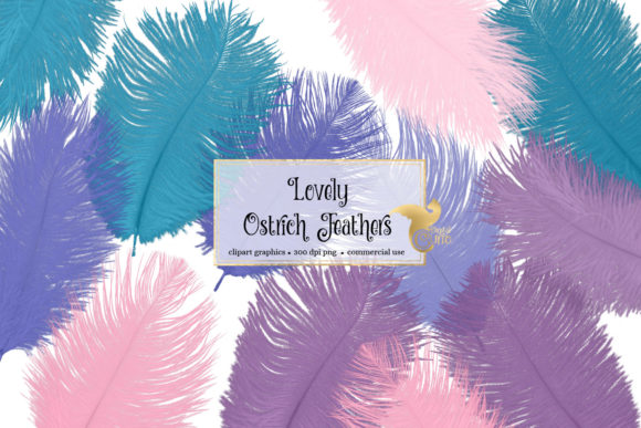 Exploring the Beauty and Utility of Lovely Ostrich Feathers Clipart