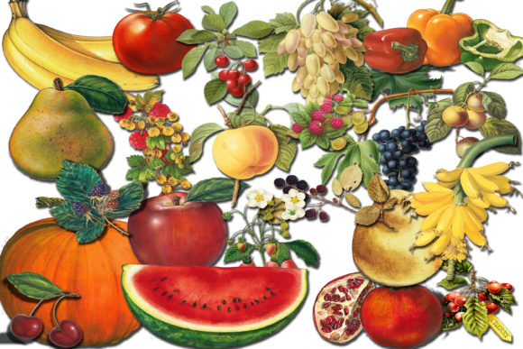 Fruit Clip Art and Illustrations: A Versatile Tool for Designers and Educators