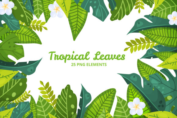 Greenery Clipart, Jungle Plants. PNG 3: A Digital Decor Solution for Tropical Themes