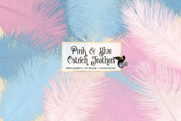 Pink and Blue Ostrich Feathers Clipart