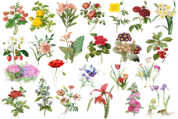 The Rise of Floral Digital Paper and Flower Clip Art in Modern Creative Projects