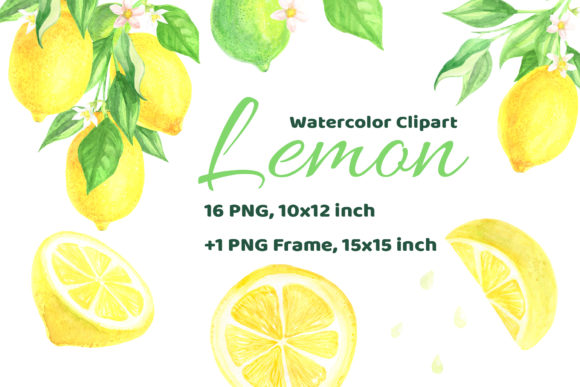 Watercolor Lemon Citrus Illustrations for Creative Projects